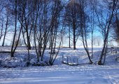 Береговая линия