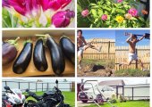 Креативные фото собственников