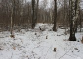 Дорога до Оки