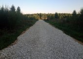 Дороги
