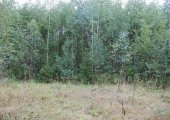 Итоги строительства