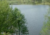 Новости поселка