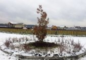 Благоустройство общественных зон